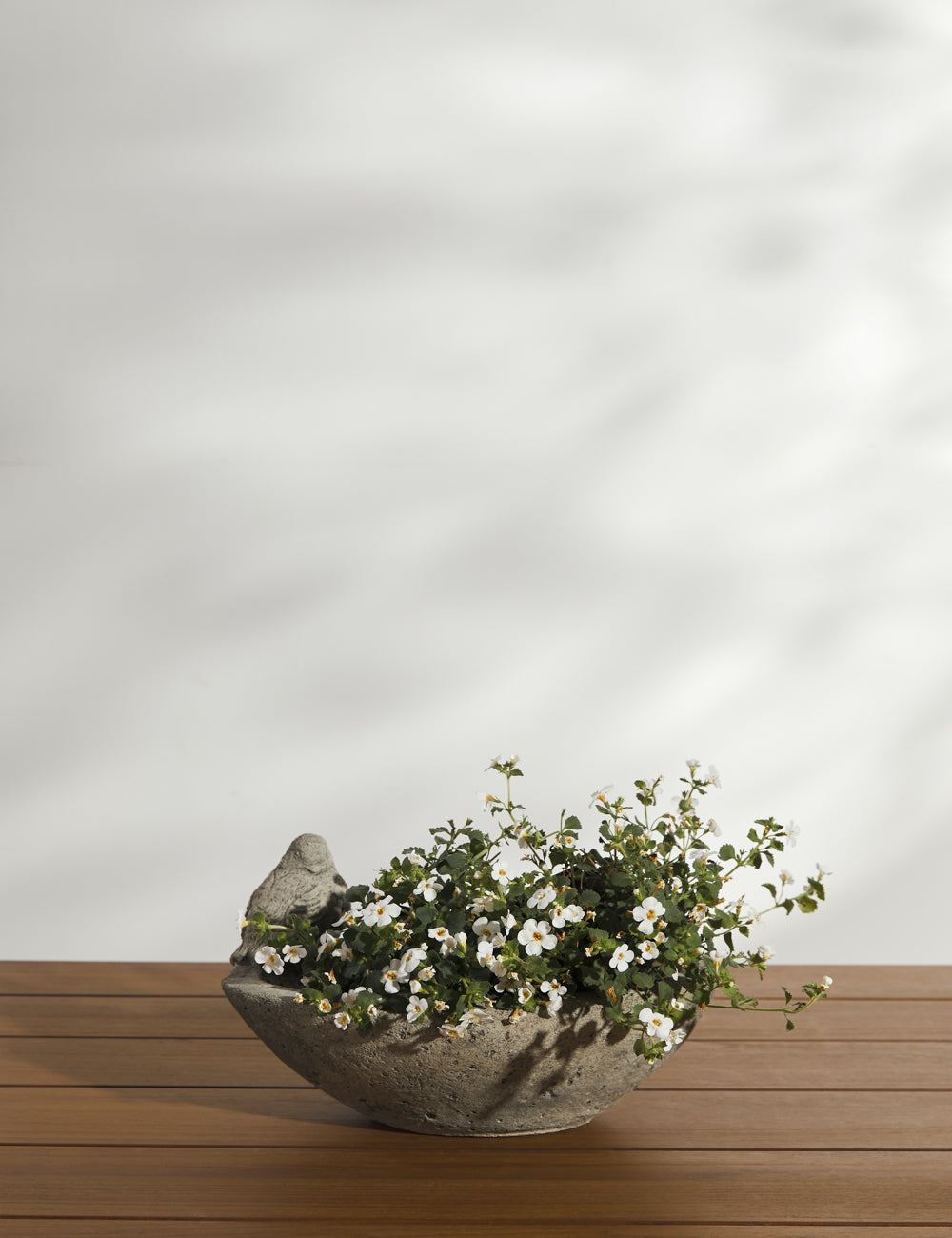 Cast Stone Tabletop Planters - Barca - Image 8