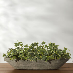 Cast Stone Tabletop Planters - Barca