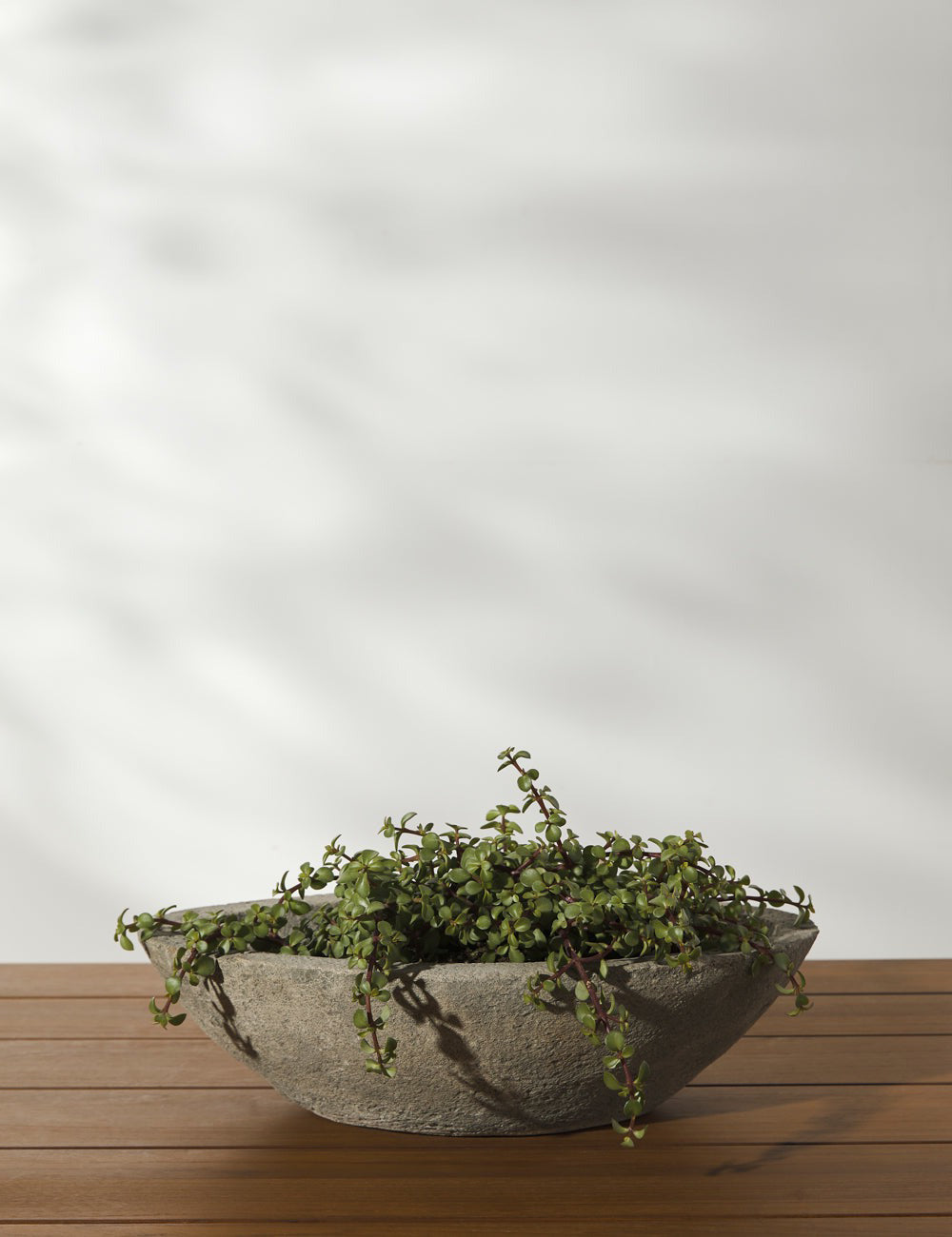 Cast Stone Tabletop Planters - Barca - Image 5