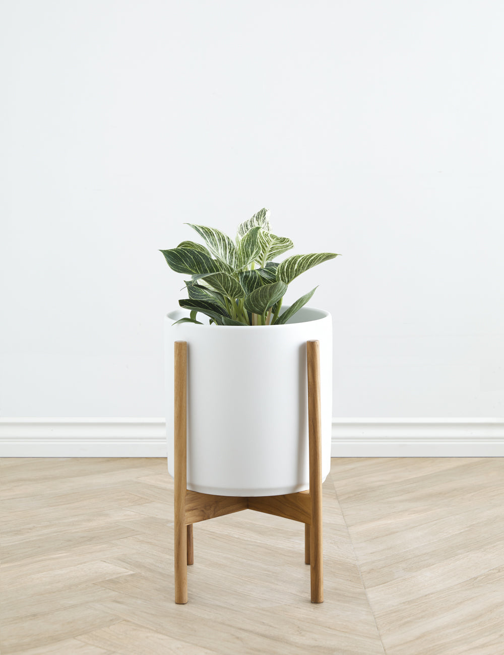 Ceramic Planter Pot + Teak Stand - Black - Image 10