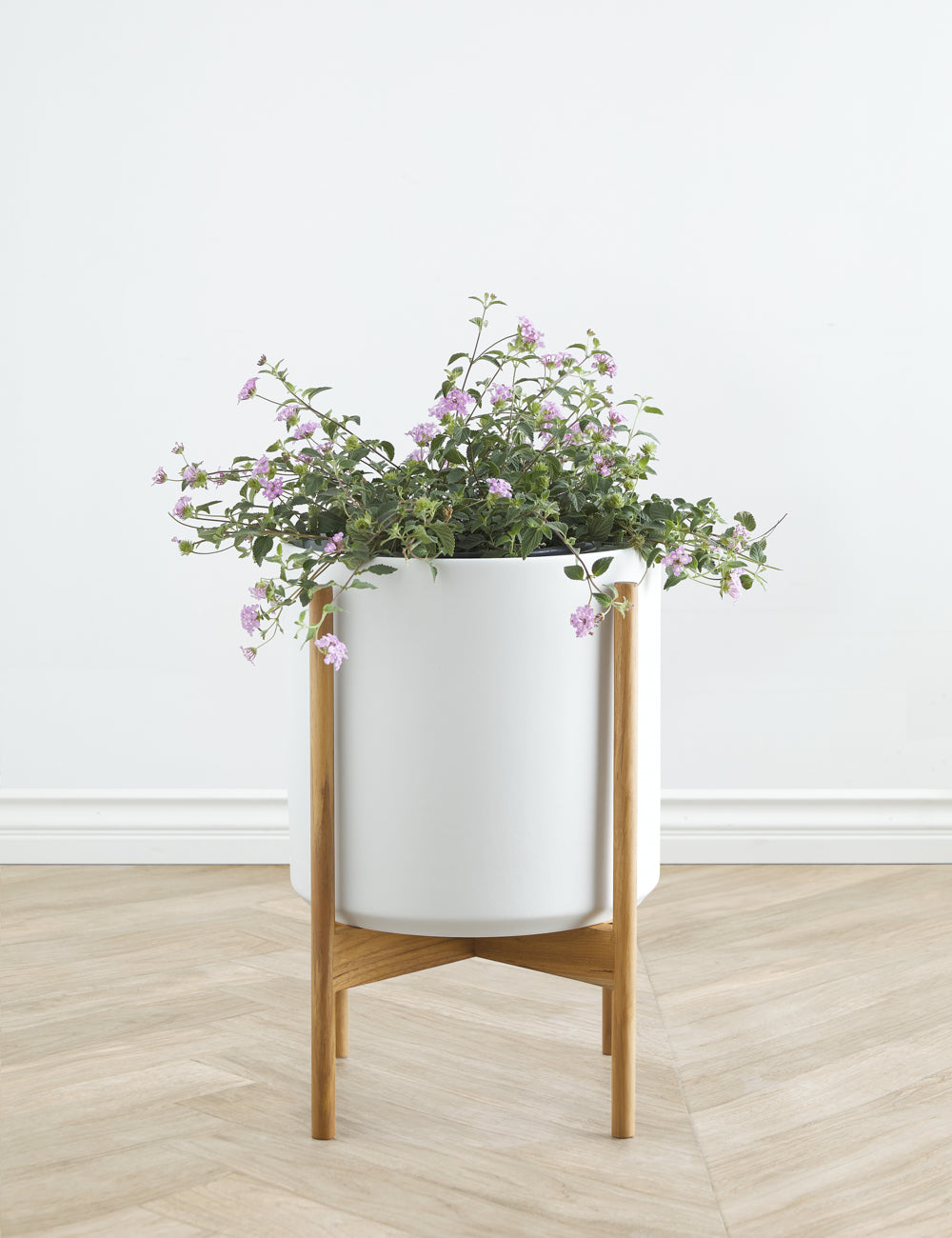 Ceramic Planter Pot + Teak Stand - Black - Image 12