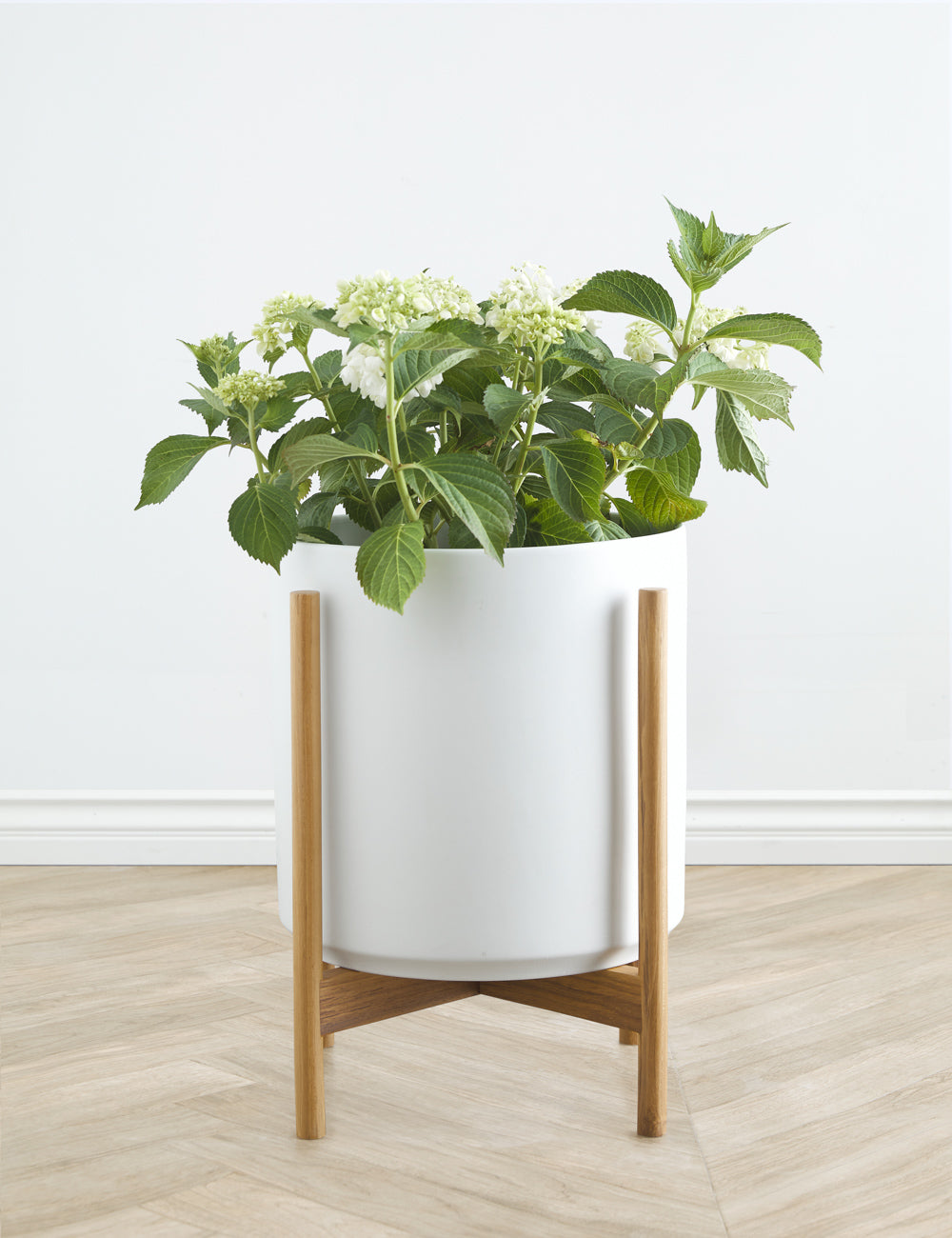 Ceramic Planter Pot + Teak Stand - Black - Image 14