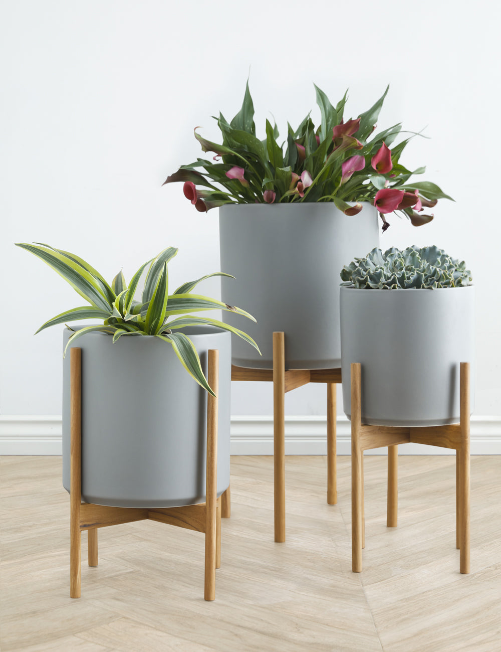 Ceramic Planter Pot + Teak Stand - Black - Image 17