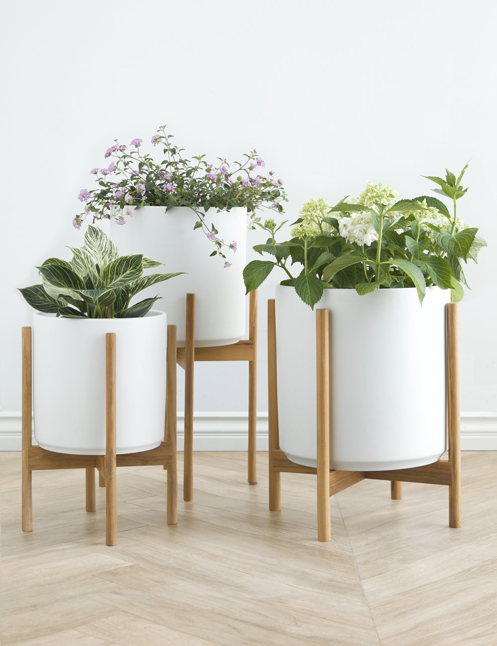 Ceramic Planter Pot + Teak Stand - Black - Image 9