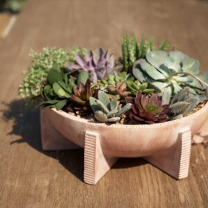 Terracotta Planter - Terracotta