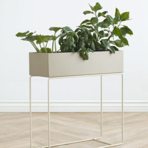 Green Plant Box - Taupe