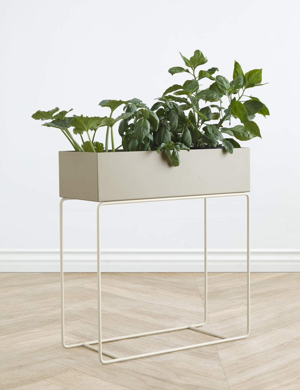 Green Plant Box - Taupe