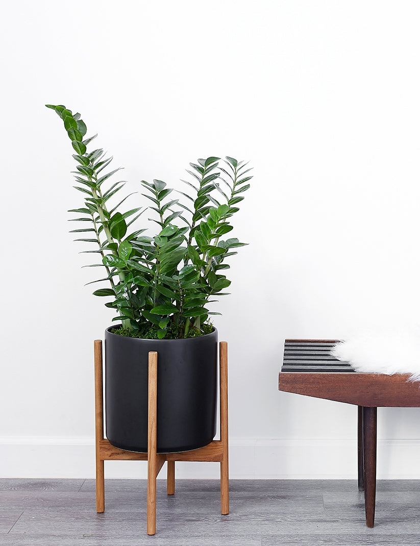 Ceramic Planter Pot + Teak Stand - Black - Image 6