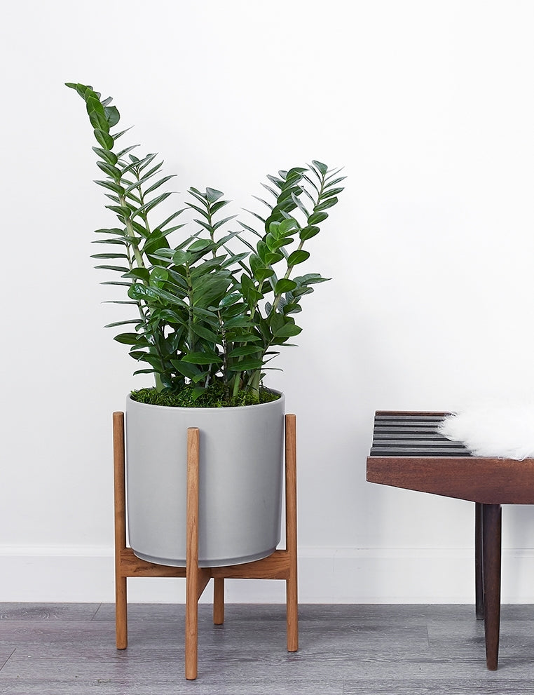 Ceramic Planter Pot + Teak Stand - Black - Image 25
