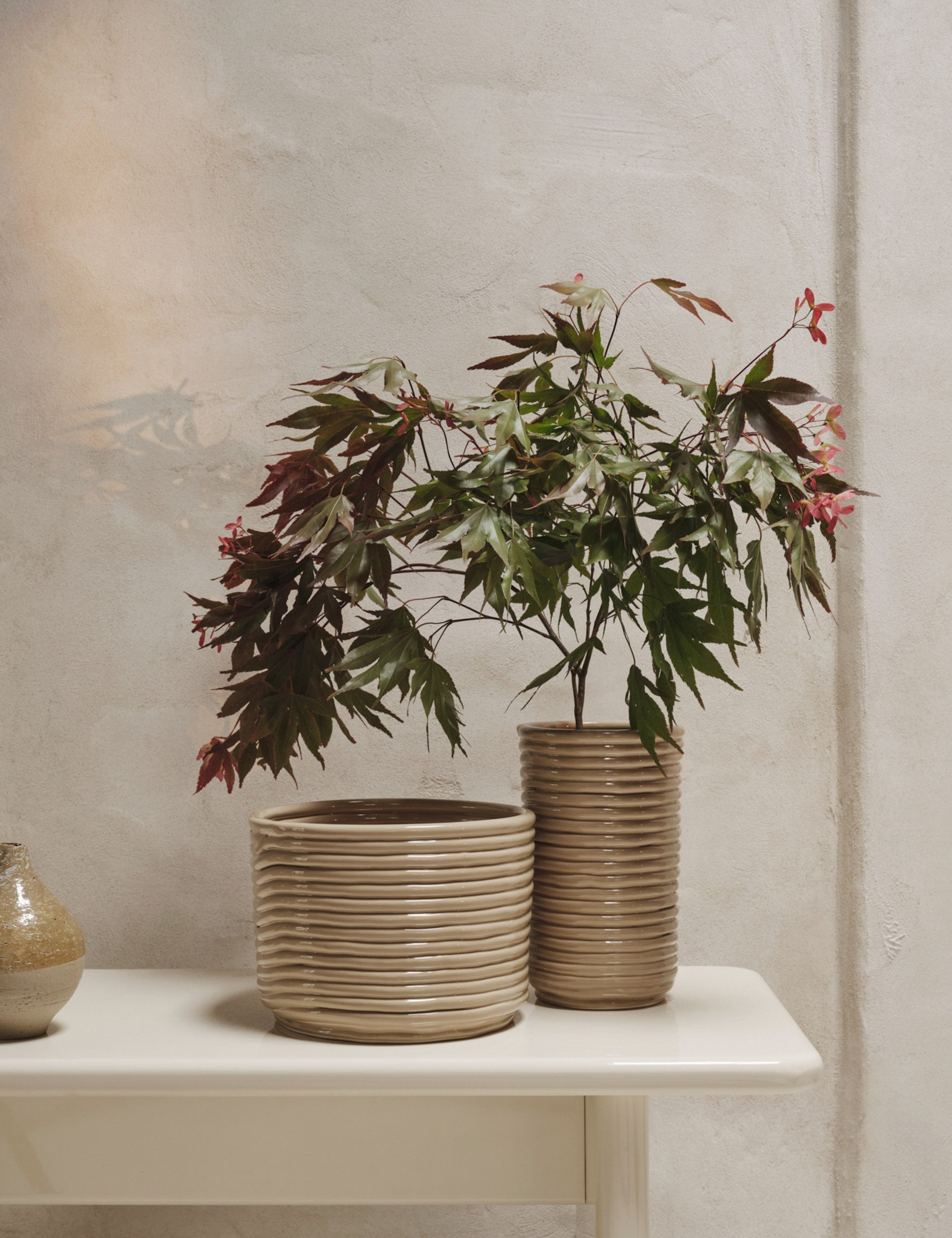 Sculptural Glossy Ceramic Pot - Brown - Image 4