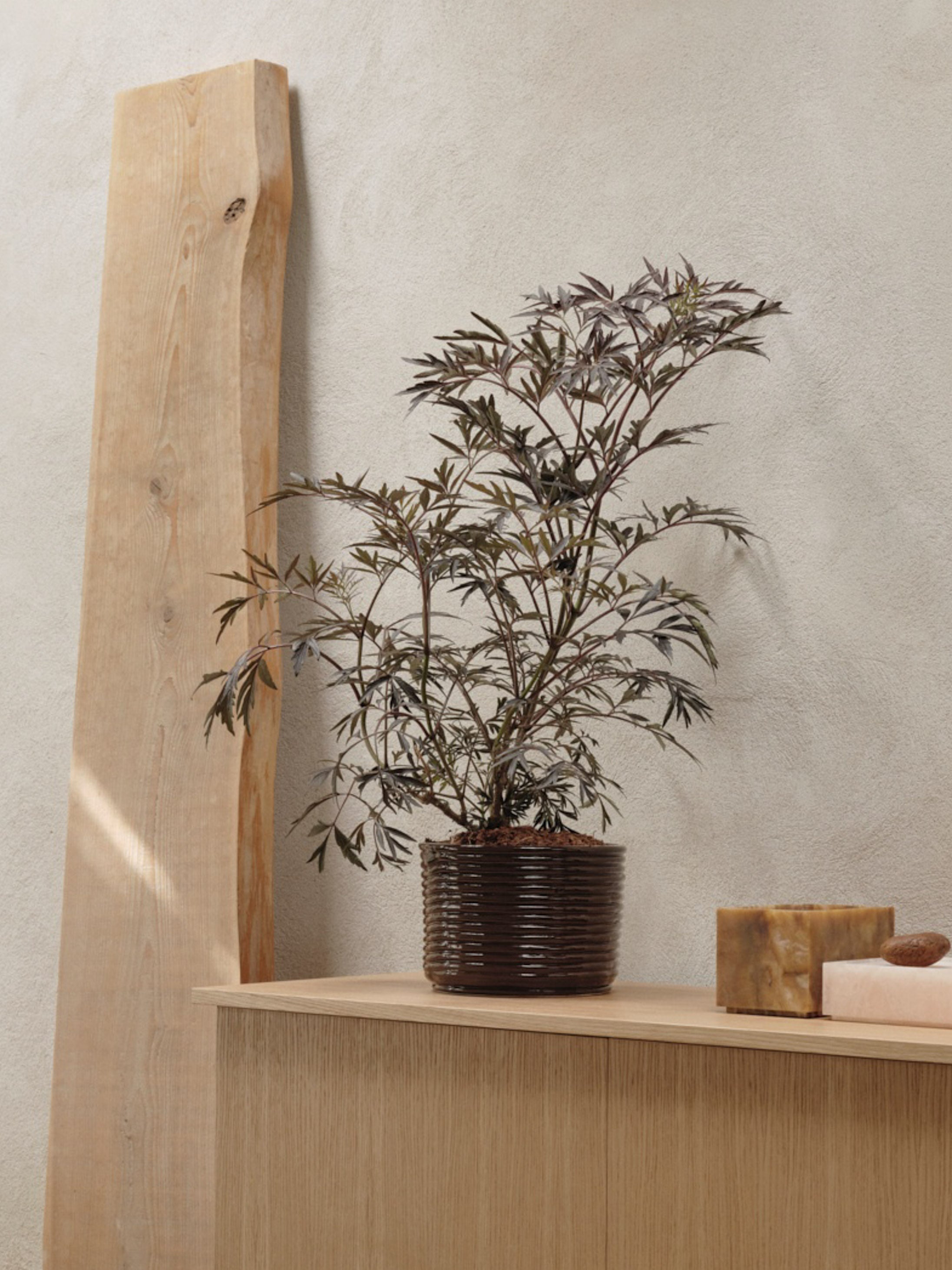 Sculptural Glossy Ceramic Pot - Brown