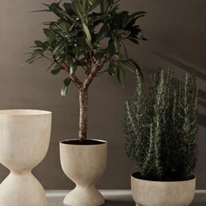 Sculptural Evoke Pot - Low