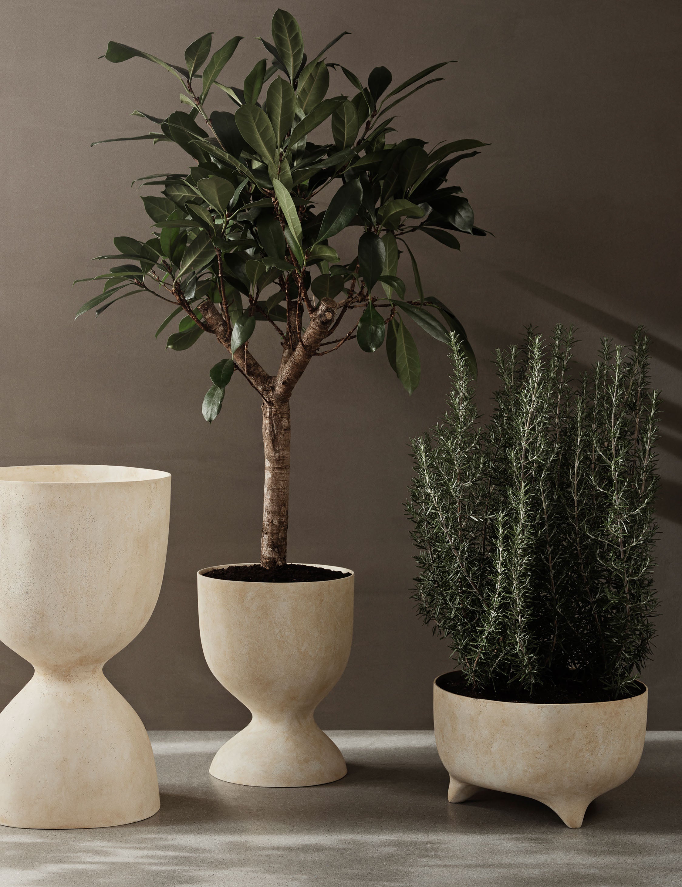 Sculptural Evoke Pot - Low